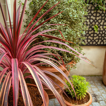 Ambiance Marocaine...