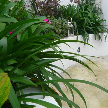 The Channel garden