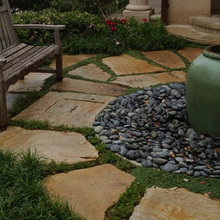 sue_koos's ideas