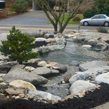 Waterfall and Koi Pond