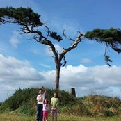 Lorraine King's photo