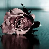 Samantha Wpl's photo