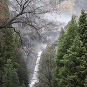 Elaine Pineault's photo