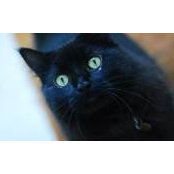 Jennifer Straker's photo