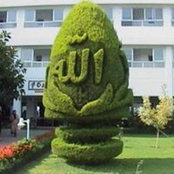 Foto di Ali Benhaloua