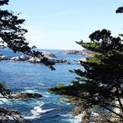 Sylvia Dow's photo
