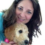 Dawn Zappitello's photo