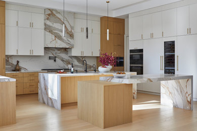 Kitchen - contemporary kitchen idea in Toronto
