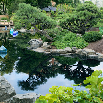 Japanese Garden Pond - Denver Botanic Garden
