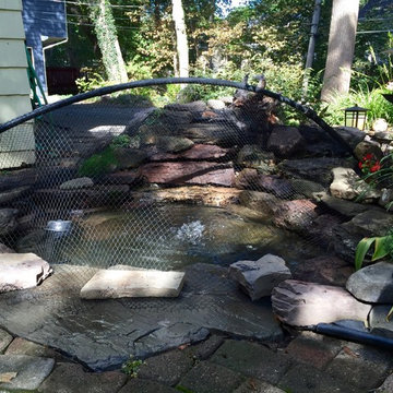 Fall Koi Pond Maintenance & Winter Fish Pond Preparation| Rochester NY By Acorn