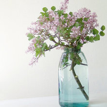 Vases
