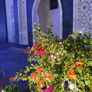 Arab open university - Madinah , Kingdom of Saudi Arabia