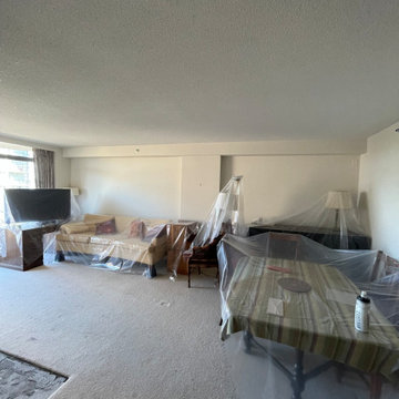 Fireplace redesign.
