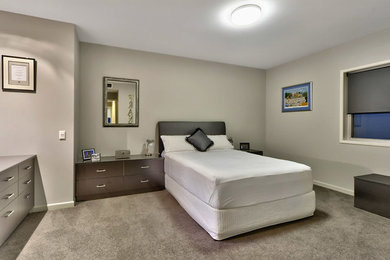 Expansive contemporary guest bedroom in Brisbane with grey walls, carpet and grey floor.