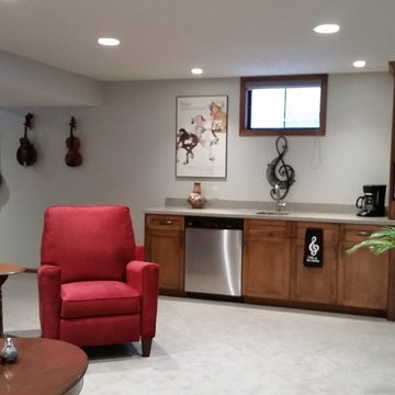 Basement Remodel