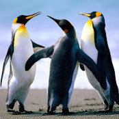 Kirti Magatapalli's photo