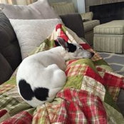 Matt Odom's photo