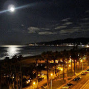 Tj Sullivan's photo