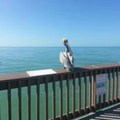 Debbie Servan's photo