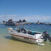 Gregory Weber's photo