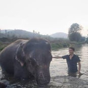 Ludovic's photo