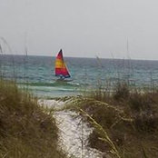 Darlene Melvin's photo