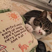 Michele McDonald's photo