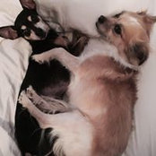 Kelly Silva's photo