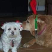 Linda Eldredge's photo