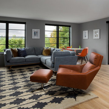 Mid Century Modern Major Renovation