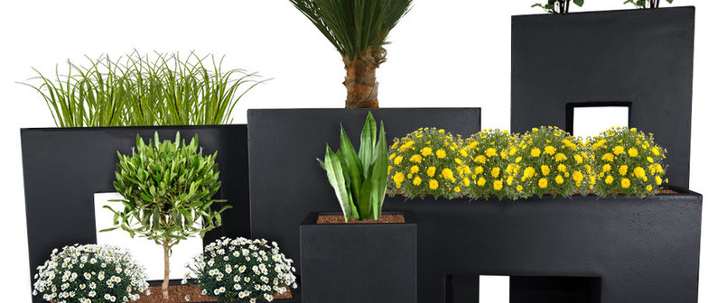 PFLANZWERK NeukirchenVluyn, DE 47506 Houzz DE