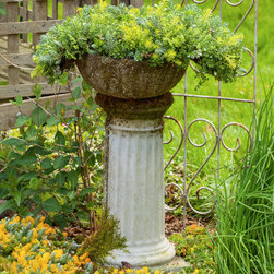 Creative Uses for Etera&reg; Sedum Tiles&reg; - Outdoor Pots And Planters