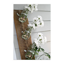 Garden ideas