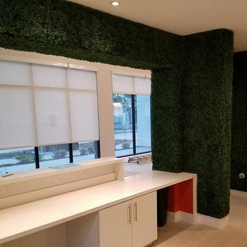 Fake Ivy Projects