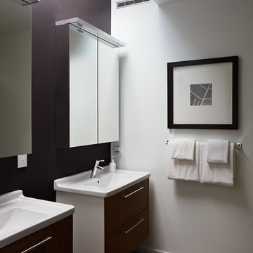 San Carlos Mid-Century Modern Remodel