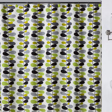 shower curtain