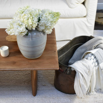 Traditional Coastal Living Room