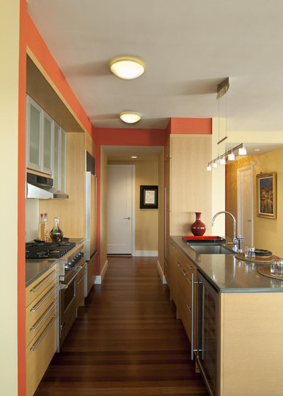 Cooking With Color: When to Use Orange in the Kitchen  Contemporary Kitchen by American & International Designs, ...