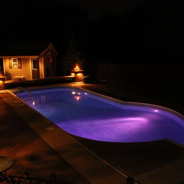 Free Form Swimming Pool Project w/ fire feature