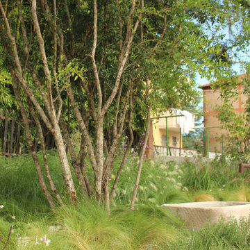 AS Mediterranean Garden