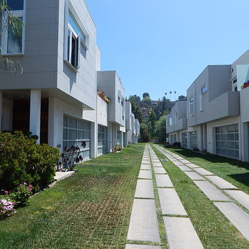 Contemporary Townhouses