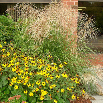 Landscape Maintainence