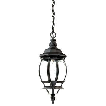 Acclaim Chateau 1-Light Outdoor Hanging Lantern 5056BK - Matte Black