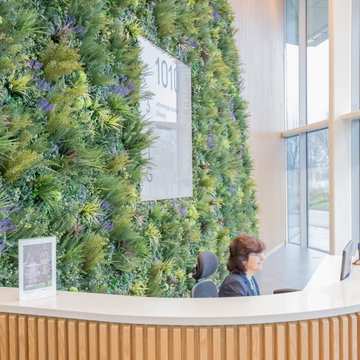 VistaFolia Interior Office Design with Green Walls