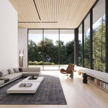 Sunlight-Window Curtain Wall