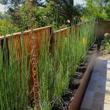 Drought tolerant contemporary front yard in Wine country