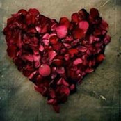 Kenna Gunderland's photo