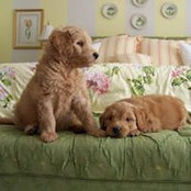 Lizzie Hernden's photo