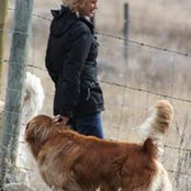 Beverly Holmberg's photo