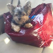 Laura Bianchini's photo